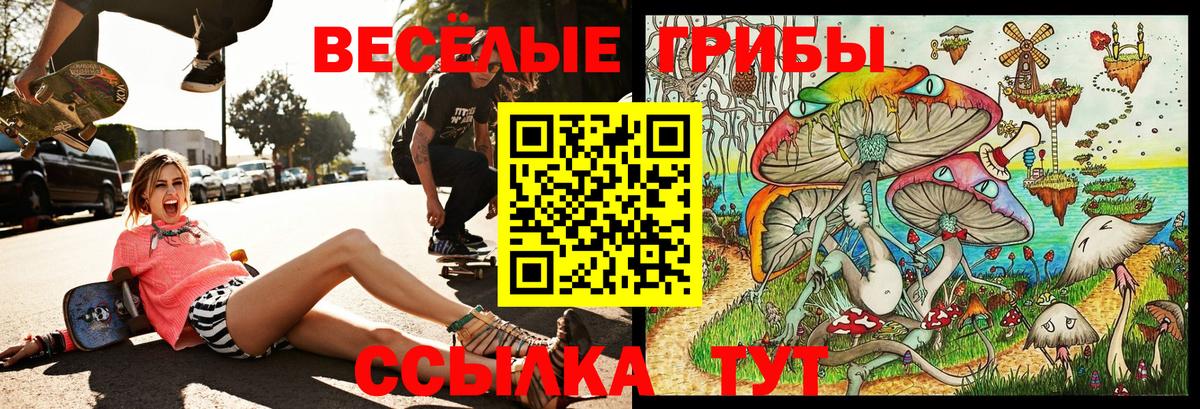 Галлюциногенные грибы мицелий  Вход с VPN  Псилоцибиновые грибы GOLDEN TEACHER  Кызыл 